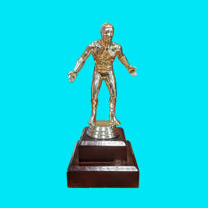 WRESTLING MALE