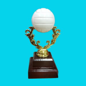 NETBALL BALL
