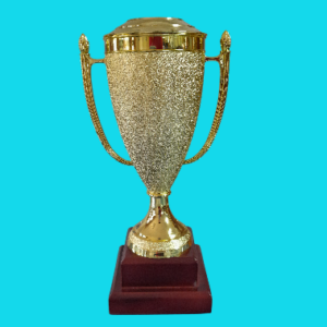 SHOSHOLOZA CUP
