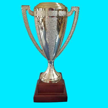 TRADITIONAL CUP