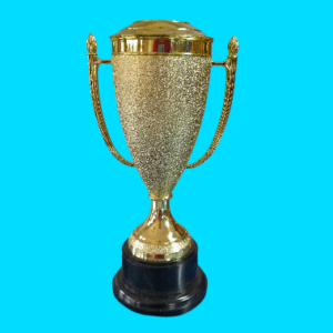 SHOSHOLOZA CUP