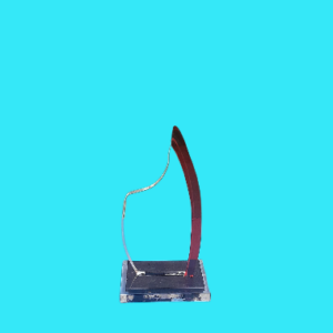Acrylic Eclipse Trophy