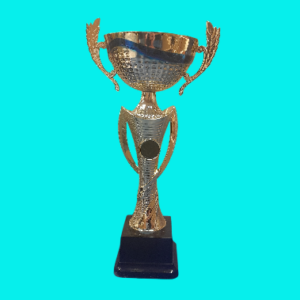 Gold Metal Trophy