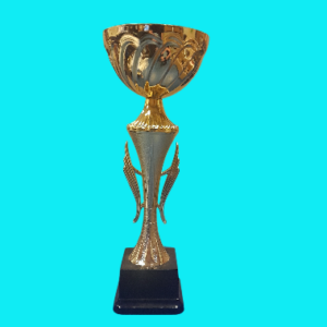GOLD OPEN METAL CUP