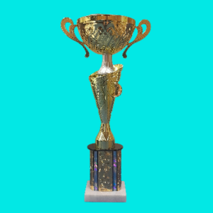 GOLD OPEN METAL CUP