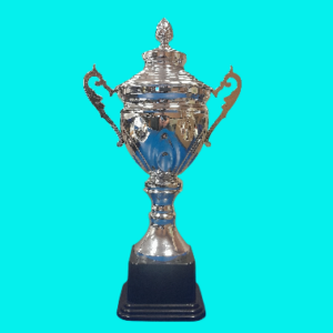 Metal Trophy With Lid