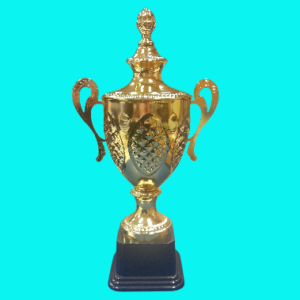 Gold Metal Cup