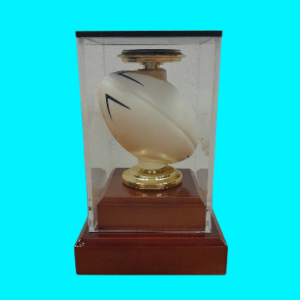 Rugby Ball Case
