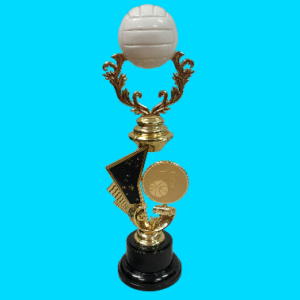 Netball Riser on Plastic Base