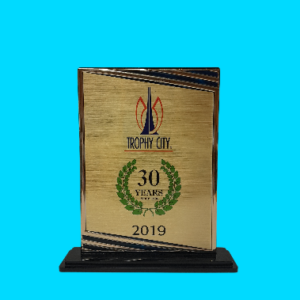 Acrylic GP Stand           *Special*
