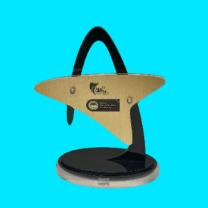 Contemporary Acrylic Glass Trophy