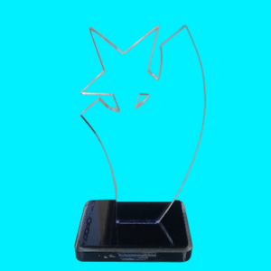Shooting Star Award