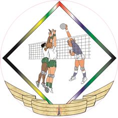 VOLLEYBALL