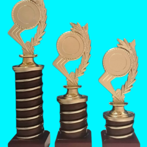 Set of 3 Tubing Trophies on Wooden Base