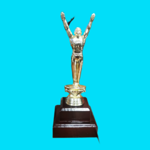GYMNASTIC BALANCE BEAM MALE