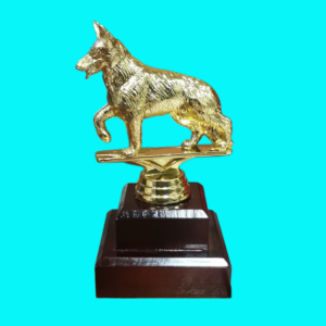 ANIMALS - DOGS