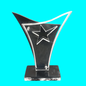 Acrylic Glass Achievement Twin Peak