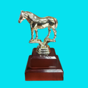 ANIMALS - HORSE