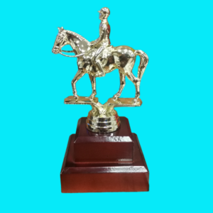 HORSE EQUESTRIAN RIDER