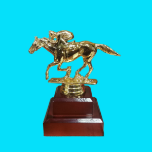 ANIMALS - HORSE RACE