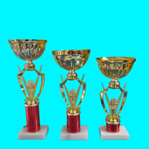 GOLD METAL TROPHY