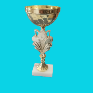GOLD OPEN CUP
