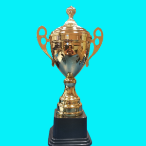 Metal Trophy With Lid