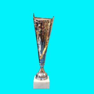 Gold & Silver Metal Trophy