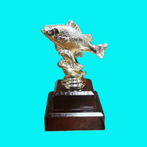 ANIMALS - FISH