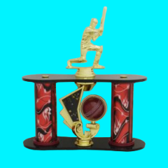 Two Pillar Cricket