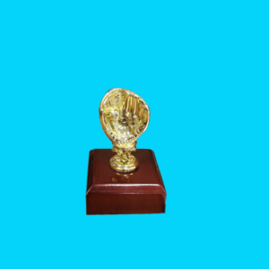 BASEBALL GLOVE
