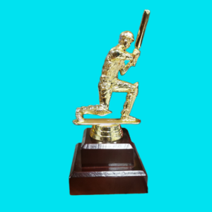 CRICKET BATSMAN