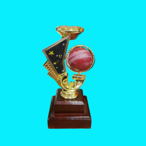 CRICKET RIZER