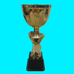 Gold Metal Trophy