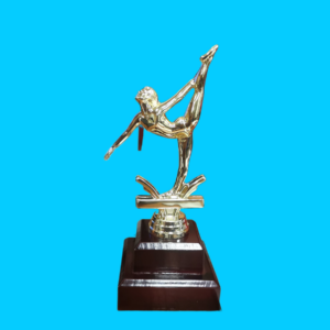 GYMNASTIC