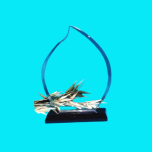 Clear Flame Glass Trophy