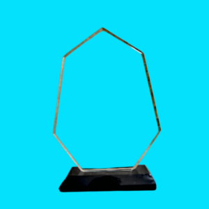 Clear Hexagonal Glass Trophy