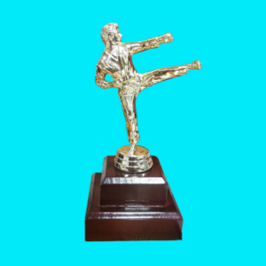 KARATE MALE