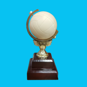 NETBALL SPINNER