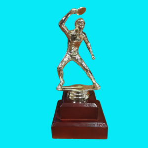 TABLE TENNIS MALE