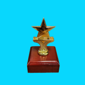 STAR TRIM