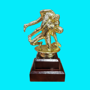 WRESTLING DOUBLE MALE