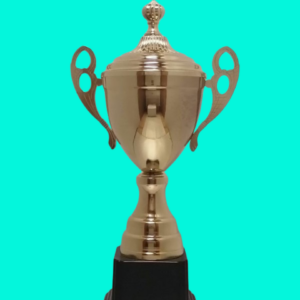 Metal / Plastic Trophy With Lid