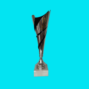 Silver & Black Metal Trophy