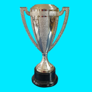 TRADITIONAL CUP