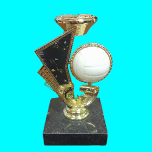 Netball Spinner