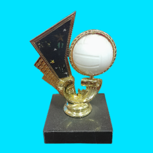 Netball Spinner
