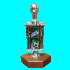 Soccer Trophy