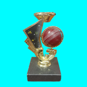 Cricket Spinner
