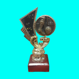 Soccer Trophy